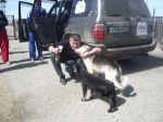 Пограничные собаки Бесконечное путешествие в Монголию Монголия